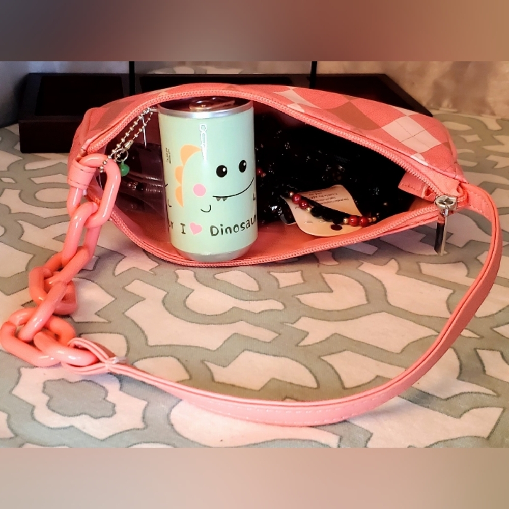 Mystery Items In A Pink and Brown Argyle Bag. Jewelry. Dino Can.